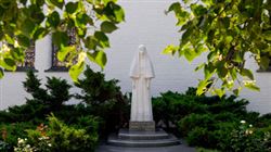 Фестиваль «Целебная сила любви, музыки и искусства»