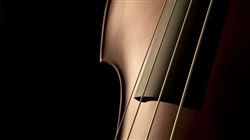 Второй Всероссийский конкурс композиторов на лучшее произведение для контрабаса