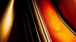 Четвёртый Всероссийский конкурс композиторов на лучшее произведение для контрабаса