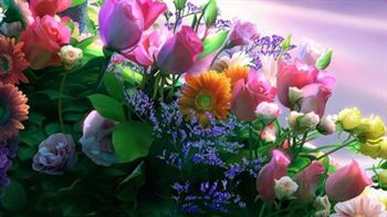 Концертный калейдоскоп «Лето на балконе»