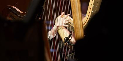 Solo Harp Performance Class