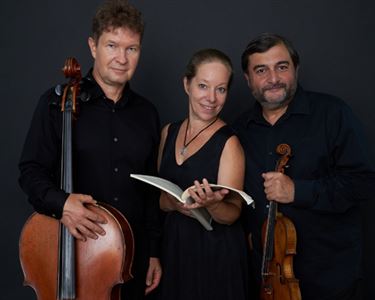 The Brahms Trio
