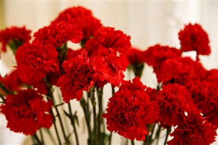 Торжественный митинг к 71-й годовщине Победы