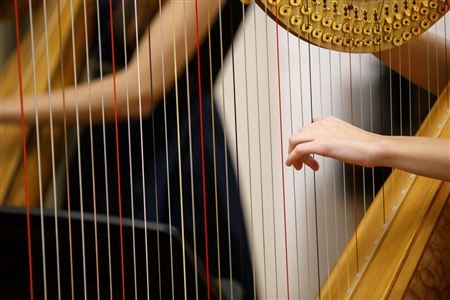 Класс доцента С. В. Парамоновой (арфа)