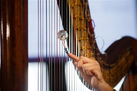 A workshop of the ensemble <i>Airborne extended</i>