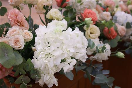 Concert of the Graduates of the Year 2024