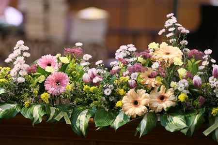 Церемония вручения дипломов, фуршет и концерт выпускников 2013 года