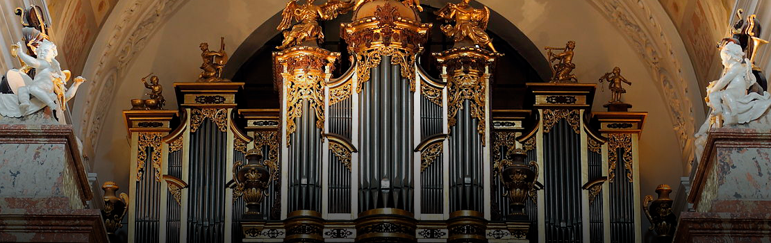 Большой рождественский органный концерт