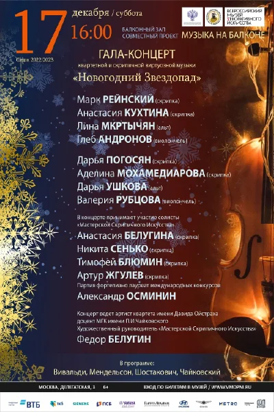 «Новогодний Звездопад»