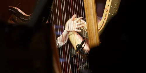 Solo Harp Performance Class