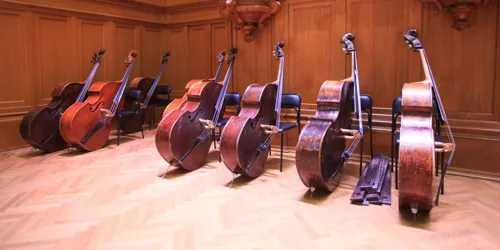 Faculty of Orchestral Studies